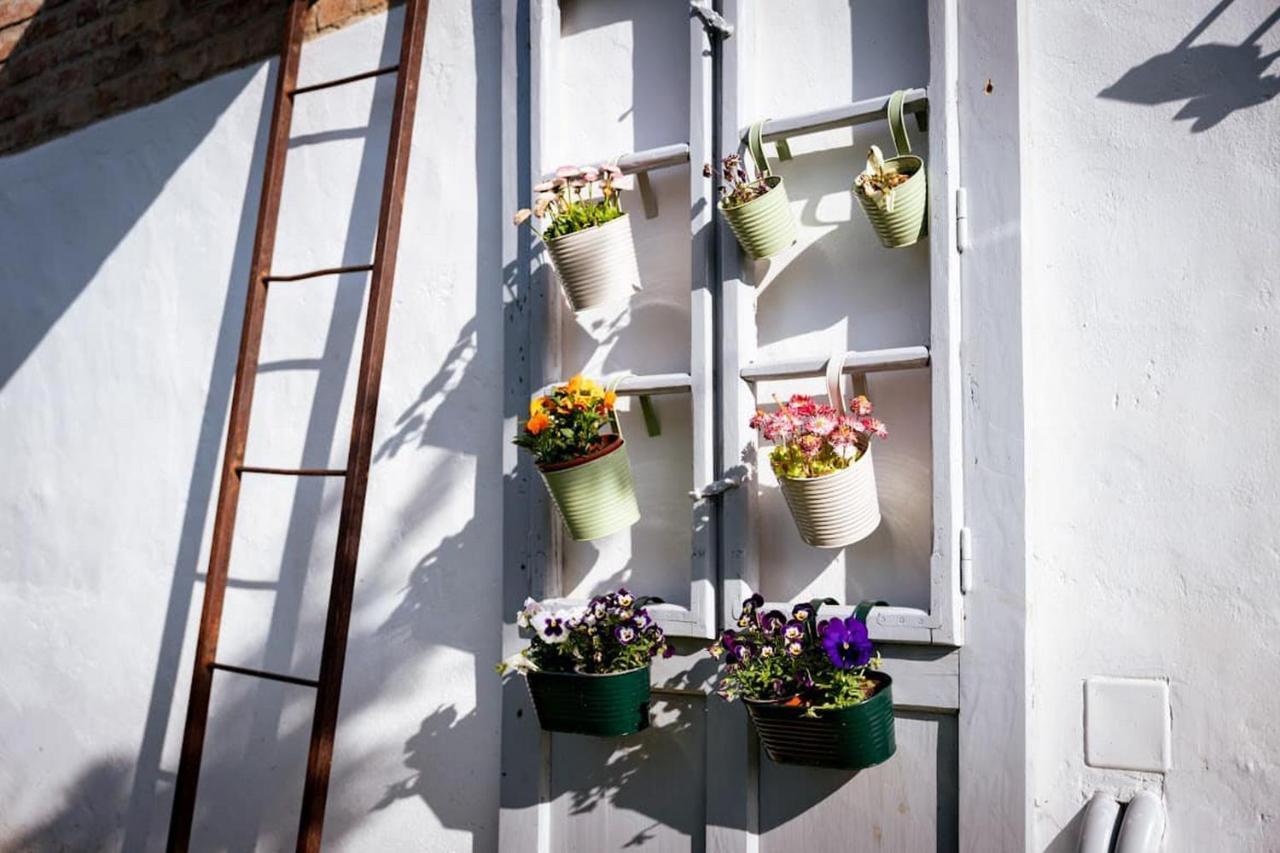 Rozmaring Vendégház Zengővárkony Esterno foto