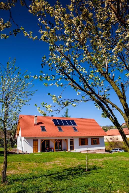 Rozmaring Vendégház Zengővárkony Esterno foto